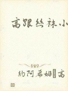 高跟丝袜小说