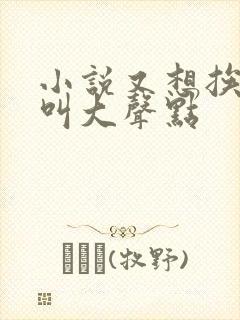 小说又想挨C了叫大声点