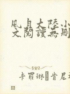 风月大陆小说全文阅读无删减