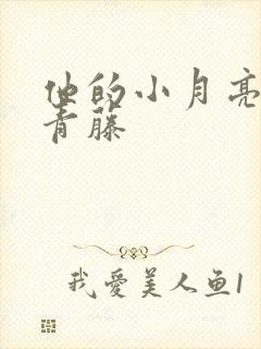 他的小月亮by青藤
