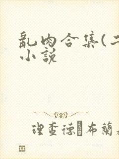 乱肉合集(二)小说
