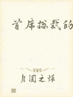 首席总裁的逃妻