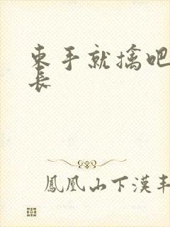 束手就擒吧韩队长