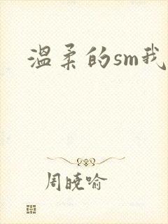 温柔的sm我封面