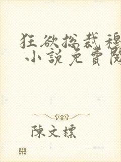 狂欲总裁穆非雪 小说免费阅读