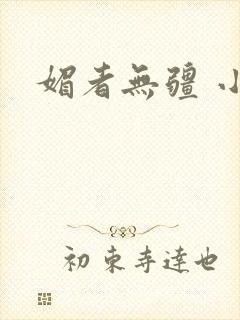 媚者无疆 小说