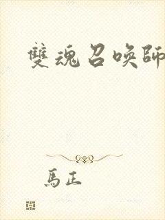 双魂召唤师