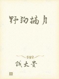 野狗摘月封面