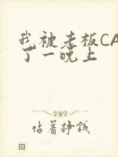 我被老板CAO了一晚上