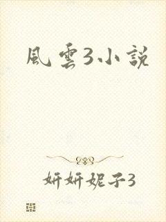 风云3小说
