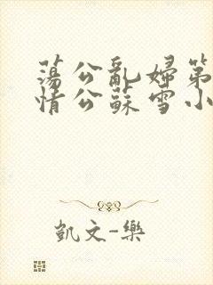 荡公乱妇第1章情公苏雪小说