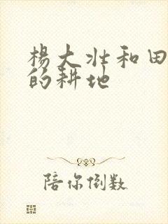杨大壮和田桂花的耕地
