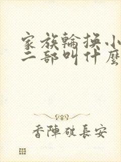 家族轮换小说第二部叫什么名字