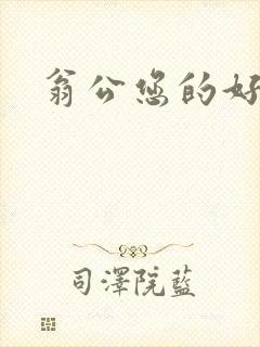 翁公您的好长呀封面