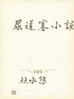 尿道塞小说