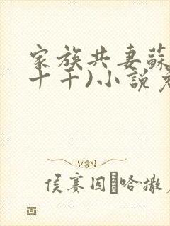 家族共妻苏苏(十千)小说免费