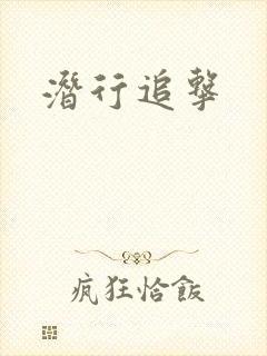 潜行追击