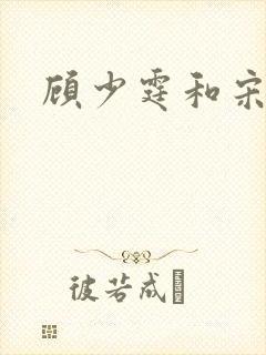 顾少霆和宋斯曼