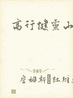 高行健灵山封面