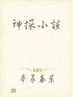 神探小说