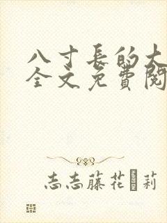 八寸长的大宝贝全文免费阅读