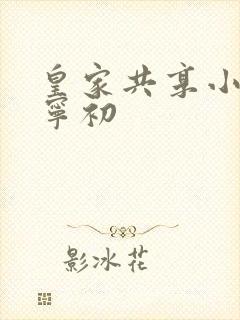皇家共享小公主宁初封面