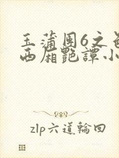 玉蒲团6之色情西厢艳谭小说