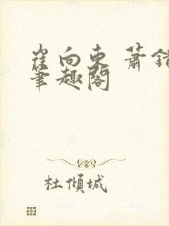 崔向东 萧错 笔趣阁