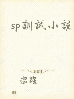 sp训诫小说封面