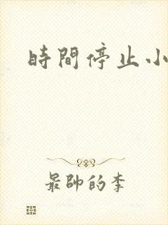 时间停止小说
