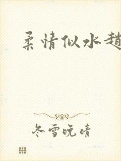 柔情似水赵雅儿封面