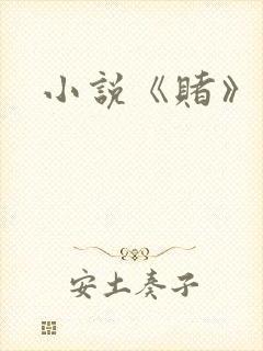 小说《赌》