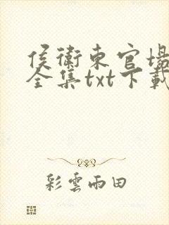 侯卫东官场笔记全集txt下载