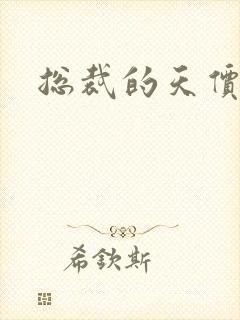 总裁的天价宠妻封面
