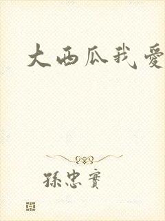 大西瓜我爱你封面