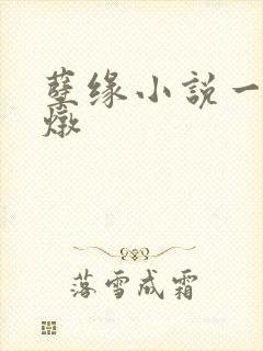 孽缘小说一家乱炖