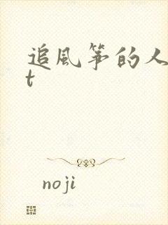 追风筝的人txt