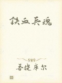 铁血兵魂封面