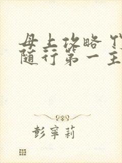 母上攻略 竹影随行第一主板