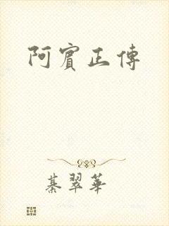 阿宾正传