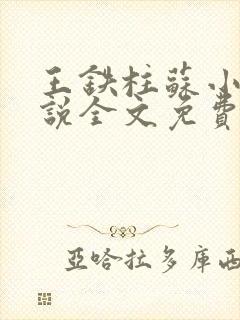 王铁柱苏小汐小说全文免费阅读最新章节封面
