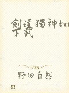 剑道独神txt下载
