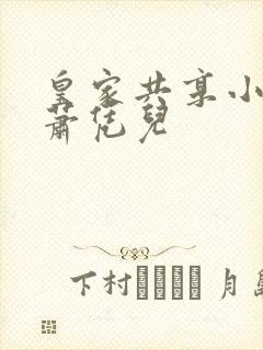 皇家共享小公主萧凭儿封面