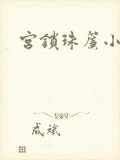宫锁珠帘小说