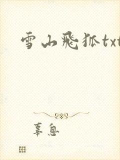 雪山飞狐txt