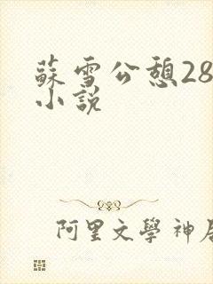 苏雪公憩28篇小说