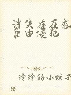 消失存在感消失自由侵犯