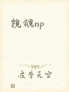 觊觎np
