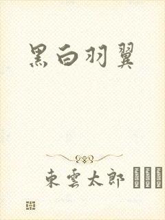 黑白羽翼