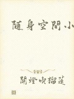 随身空间小说